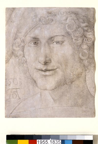 Kopf eines jungen Mannes von Albrecht Dürer