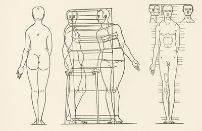Illustration aus Albrecht Dürers Abhandlung über die Proportionslehre von Albrecht Dürer or Duerer
