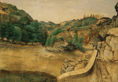 Pfad in den Alpen von Albrecht Dürer or Duerer