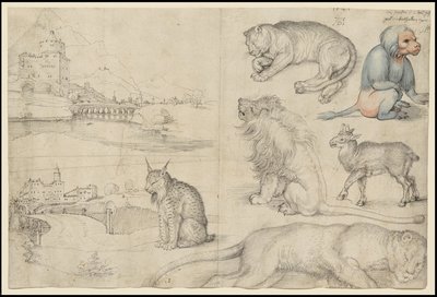 Skizzen von Tieren und Landschaften von Albrecht Dürer