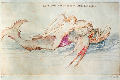 Der griechische Dichter Arion reitet auf dem Delphin von Albrecht Dürer or Duerer