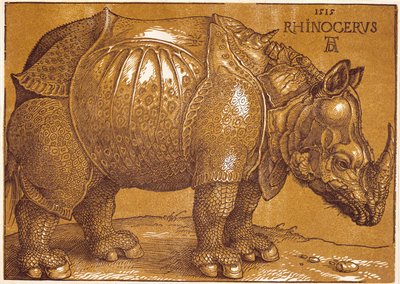 Das Nashorn von Albrecht Dürer or Duerer