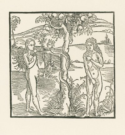 Der Fall. Illustration zu "Der Ritter von Turn", ca. 1493-93 von Albrecht Dürer or Duerer