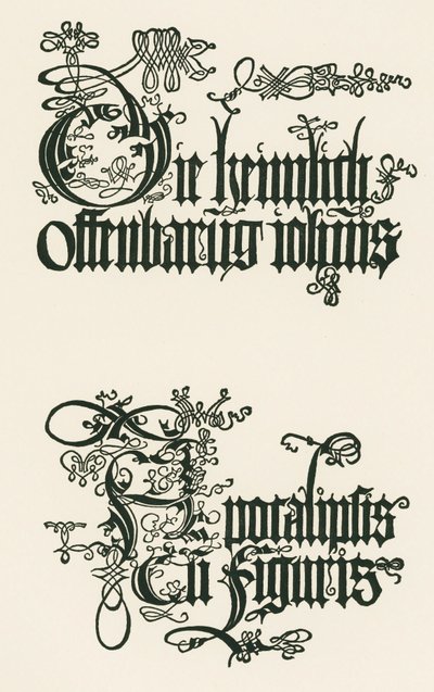 Titel der deutschen Ausgabe von 1498: Die heimlich offenbarung iohannis von Albrecht Dürer or Duerer