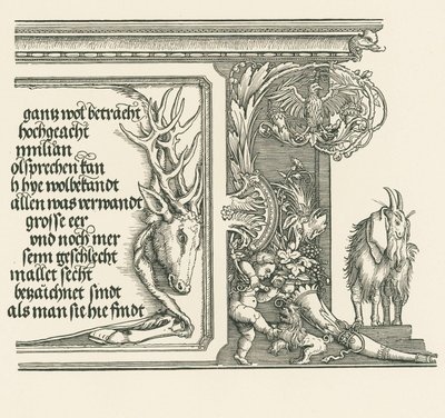 Triumphbogen für Kaiser Maximilian I. von Albrecht Dürer or Duerer