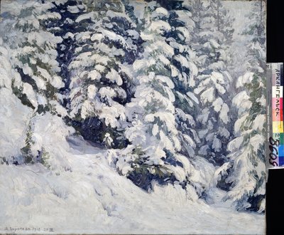 Wald im Winter von Aleksandr Alekseevich Borisov