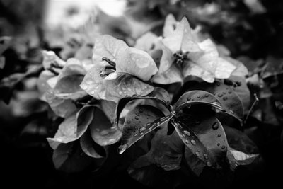 Cluster von Alex Caminker