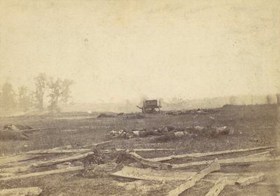 Ansicht des Schlachtfeldes von Antietam, September 1862, 1862 von Alexander Gardner