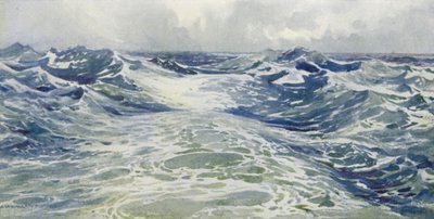 Die Spur eines P und O von Alexander Henry Hallam Murray