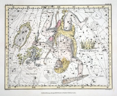 Die Sternbilder (Tafel VIII) Coronoa Borealis, Herkules und Cerberus, Lyra, aus 
