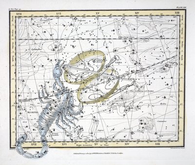 Die Sternbilder (Tafel XIX) Waage und Skorpion, aus 