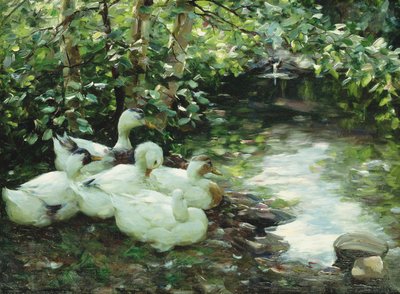 Fünf Enten am Bach, steiniges Ufer von Alexander Koester
