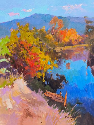 Borzhava von Alexander Shandor