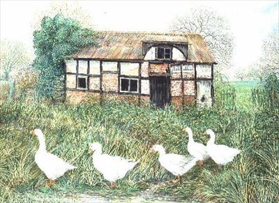 Gänse vor einem Fachwerkhaus von Alexander Williams
