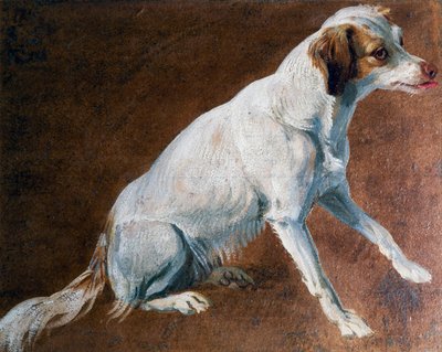 Französischer Spaniel-Vorfahre von Alexandre Francois Desportes