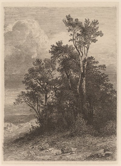 Baumhain von Alexandre Calame