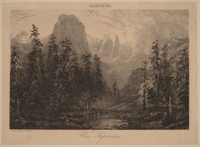 Ein Tannenwald von Alexandre Calame