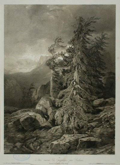 Ohne Titel von Alexandre Calame
