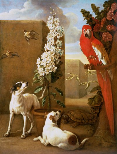 Papagei mit Hunden von Alexandre Francois Desportes