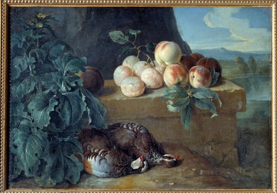 Pfirsiche und Rebhühner von Alexandre Francois Desportes