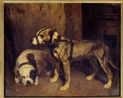 Schottischer Bulldogge und Terrier von Alexandre Gabriel Decamps