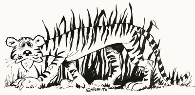 Faktenfinder: Warum sind Tiger gestreift? von Alf Saporito