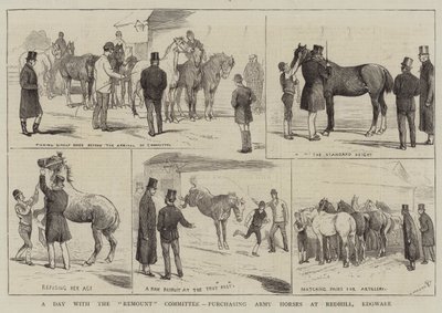 Ein Tag mit dem Remount-Komitee, Armeepferde in Redhill, Edgware kaufen von Alfred Chantrey Corbould
