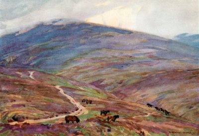Exmoor-Ponys, unterhalb des Dunkery Beacon von Alfred Heaton Cooper