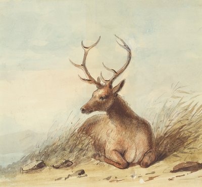 Elch, Rocky Mountains, ca. 1837 von Alfred Jacob Miller