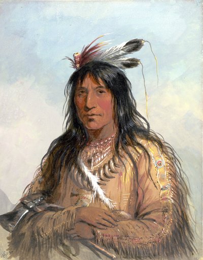 Kopf von "Matau-Tathonca," "Bull Bear" - ein Ogillalah [sic] von Alfred Jacob Miller