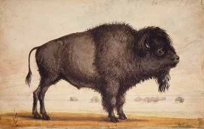 Den Wind wittern, ca. 1837 von Alfred Jacob Miller