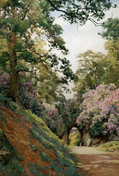 Eine blumige Lichtung von Alfred Parsons