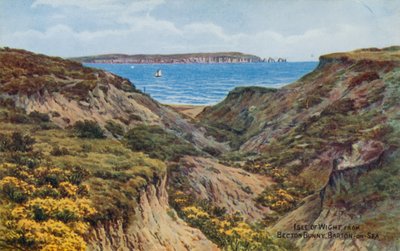 Isle of Wight, von Becton Bunny, Barton-on-Sea von Alfred Robert Quinton
