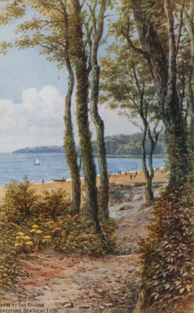 Pfad zum Ufer, Meeresblick, Isle of Wight von Alfred Robert Quinton