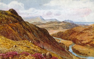 Precipice Walk, Dolgelley von Alfred Robert Quinton