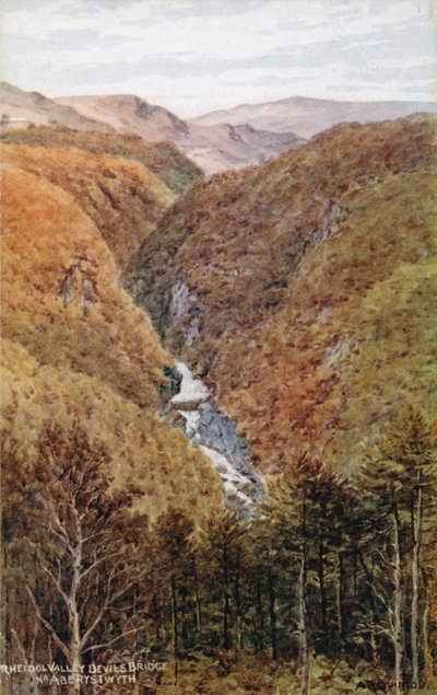 Rheidol-Tal, Teufelsbrücke, bei Aberystwyth von Alfred Robert Quinton