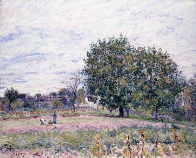 Walnussbäume, Effekt des Sonnenuntergangs - Erster Tag im Oktober, 1882 von Alfred Sisley