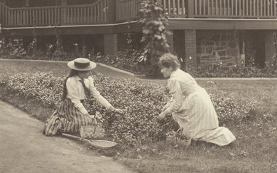 Ein Blumenbeet in Oaklawn von Alfred Stieglitz