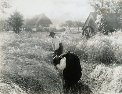 Früher Morgen von Alfred Stieglitz
