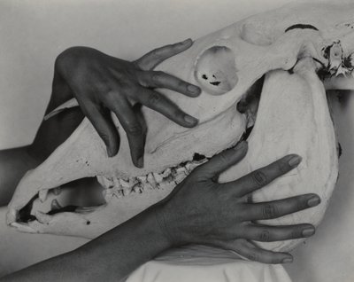  von Alfred Stieglitz