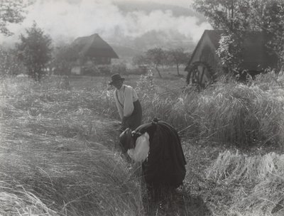 Ernte im Schwarzwald von Alfred Stieglitz