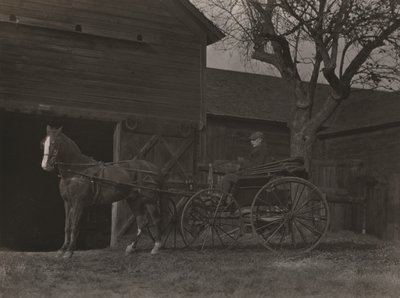 Pferd und Wagen von Alfred Stieglitz