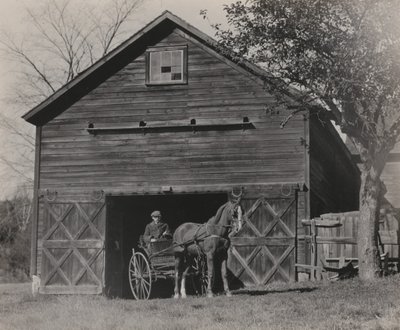 Pferd und Kutsche von Alfred Stieglitz