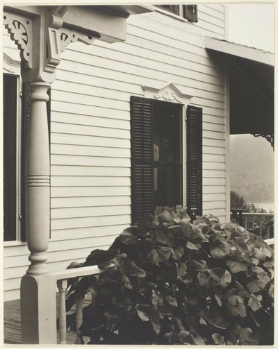 Haus und Weinblätter von Alfred Stieglitz