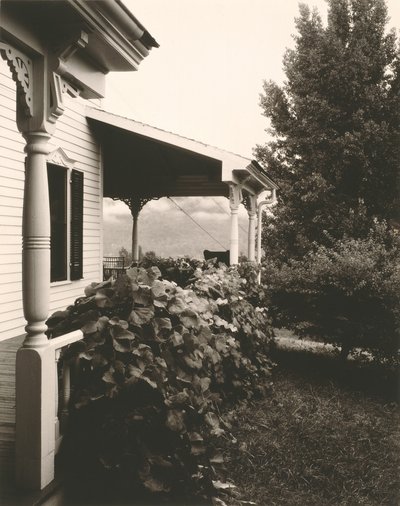 Haus und Weinblätter von Alfred Stieglitz