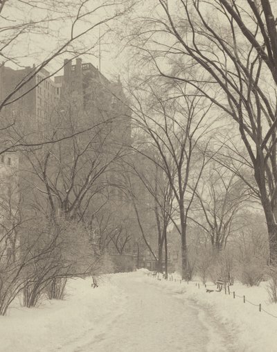 Im Park von Alfred Stieglitz