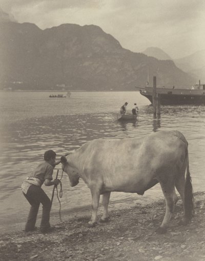 Das unfreiwillige Bad von Alfred Stieglitz