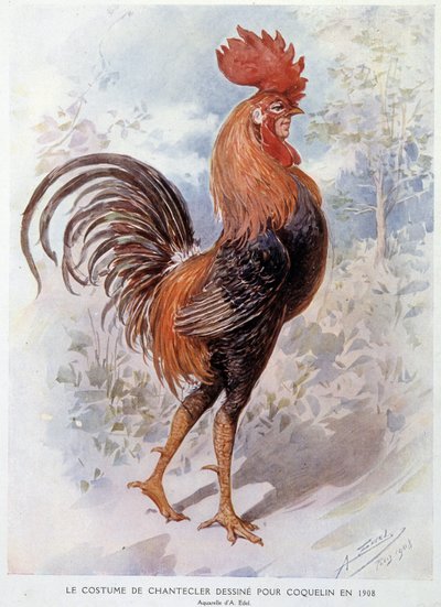 Chanteclers Hahn-Kostüm, entworfen für Constant Poppy im Jahr 1908, Stück in Versen von Edmond Rostand von Alfredo Edel
