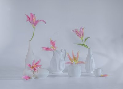  von Alice Sheng