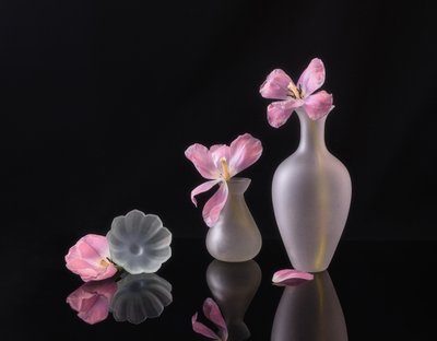  von Alice Sheng